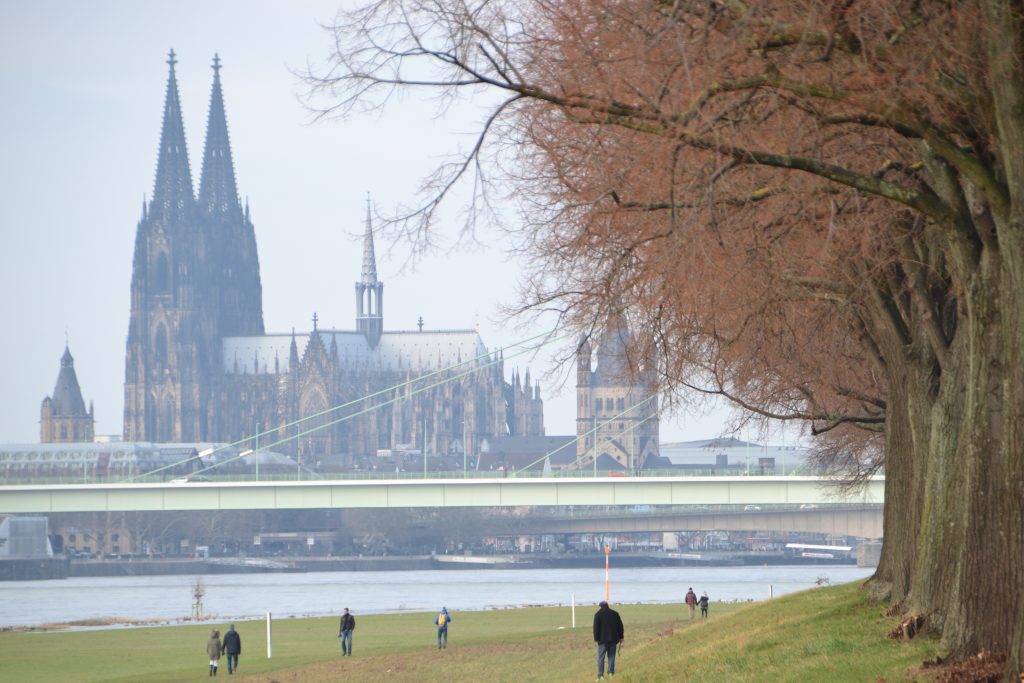 Der Kölner Dom ist vom Poller Rheinufer aus im Bildhintergrund hinter der lindgrünen Severinsbrücke zu sehen. Vorne rechts ist eine Reihe winterlich kahler, aber rötlich scheinender Linden, die eine Allee auf dem Rheindamm bilden.