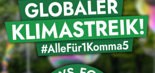 Aufruf zum globalen Klimastreik am 19.3.2021 von Fridays for Future - weiße Schrift auf grünem Grund