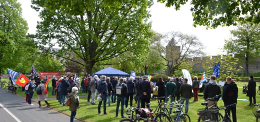 Menschen mit Fahnen gruppieren sich um einen Mittelpunkt in einem sonnigen grünen Park. Im Vordergrund auf einer Wiese abgestellte Fahrräder.
