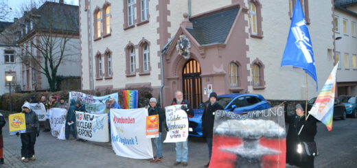 Eine Reihe Leute stehen mit zahlreichen Transparenten vor einem schönen alten Gebäude, in dessen Fenstern Licht brennt.