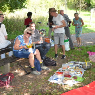 Eine Gruppe in sommerlicher Kleidung bei einem Picknick im Schatten eines Baumes.