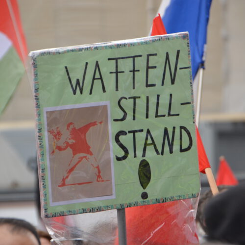 Ein selbst gemaltes Demoplakat mit einem Bild von Banksy (junger vermummter Mann wirft einen Blumenstrauß, als sei es ein Stein)