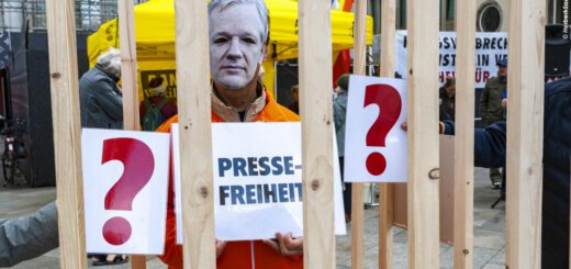 Ein Mann in orangefarbenem Arbeitsanzug und Pappschild mit dem Gesicht von Julian Assange vor dem Kopf steht in einem Holzkäfig und hält Schilder mit "Pressefreiheit" und roten Fragezeichen in den Händen.