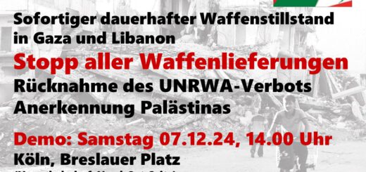 Flyer auf dem Hintergrund eines Schwarzweißfotos einer zerstörten Stadt mit Palästina-Flagge oben rechts.